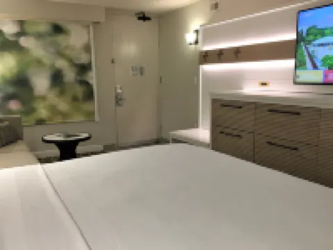 ウィンダム ガーデン レイク ブエナ ビスタ – ディズニー スプリングス® エリア オレンジのホテル