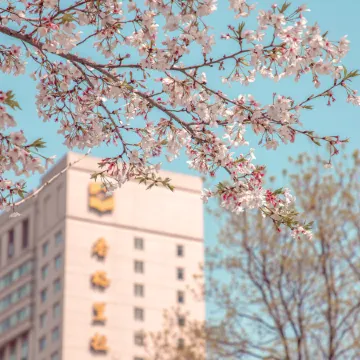 Shangri-La Hotel Wuhan Отели в г. Ухань