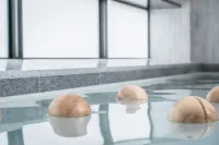 The Royal Park Hotel Iconic Kyoto - spa