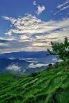 桂林龍勝一禾·高巖Rice View Lodge酒店 - 浪漫/情侶