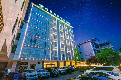 GreenTree Inn(Airport Road, Rehai hot spring, Tengchong) Отели в г. Тенчун