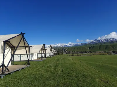 Pinecone    Camp