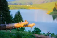 Nileke Fairy Lake Cloud Camp - Romantic