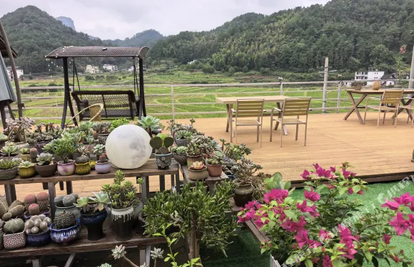 崀山八角寨稻田民宿