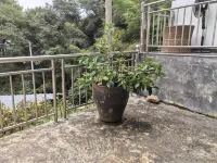 茶園山莊 - 農家樂