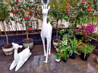 inhua Yunqi Boutique Hotel Hôtels à : Jiangbei-Zhejiang Normal University