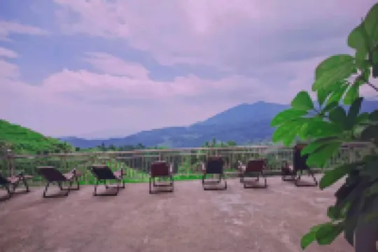 Jinxiu Leisure Guesthouse Hotels near Ziquejie Terraces