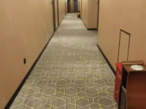 Jingle Yebo Hotel Hotels in Jiangle