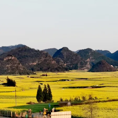 Luoping Chunri Xiaoyuan Homestay (Jinji Peak Cong Branch)