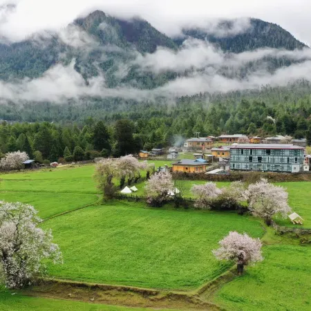 Ciyun·Homestead·B&B (Bomi Gang Yunshan Forest Branch)