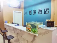 Qiha Hotel - 2 Yıldız