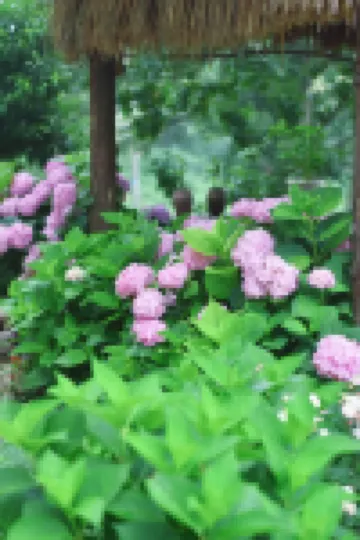 Hushan Xiaozhu Homestay