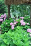 Hushan Xiaozhu Homestay Hotels near Wanfo Lake
