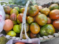 Jiayin Riverside Xingkong Homestay