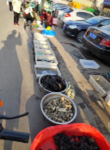 樸拙園客棧