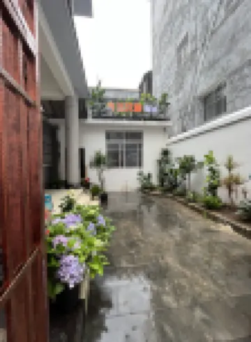 Three Cats Hostel (Mangshi)