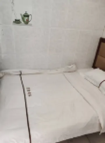 Neixiang Hongxin Express Hotel