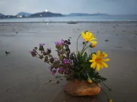 岱山觀海聽濤民宿（衢山涼峙村店） - 沙灘