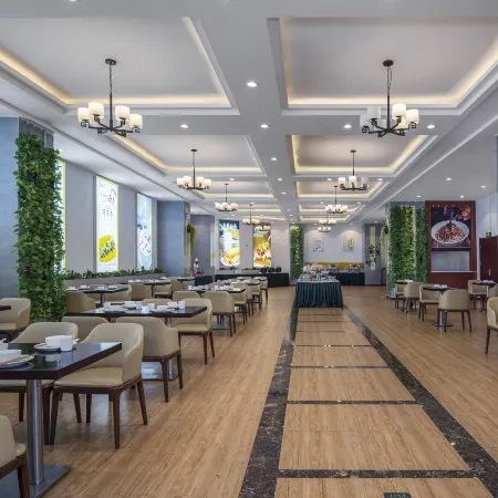 Vienna Classic Hotel (Xincai Shenhua)