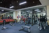 HansWishi Hotel Weifang - Gym