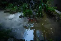 Phoenix Yiting Qingsu High-end Viewing Holiday Homestay