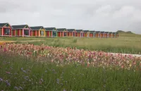 Rainbow B&B
