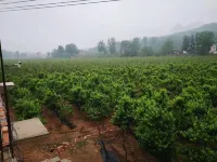 Wu'an Chenyu Ecological Hotel