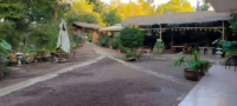 Longquan Hotel and Homestay