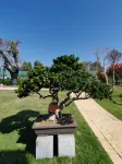 Wanju Ecological Park - Pools