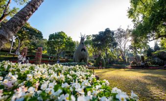 DoiTung Lodge
