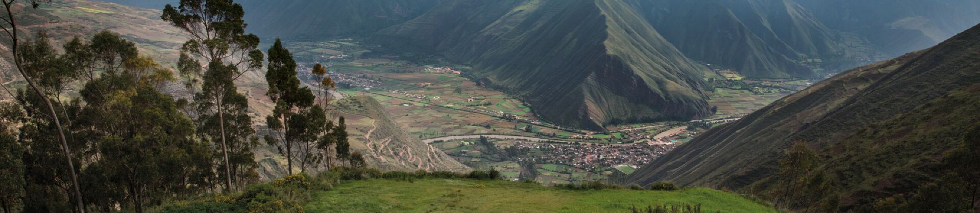 Scenic Hotels