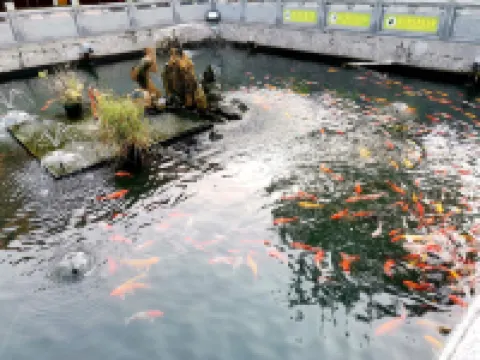 Qinyuan Linshui Wenquan Resort Homestay