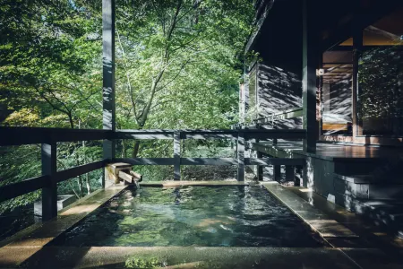 Hoshino Resorts Kai Aso Отели рядом с достопримечательностью «Kuju Forest Park Skiing Grounds»