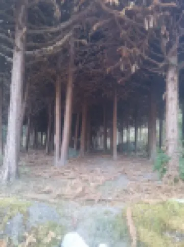 神農谷家家樂休閒山莊