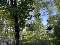 Ruicheng Business Hotel