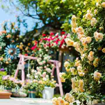 Mountain Flower House Theme Homestay Hotel Exterior