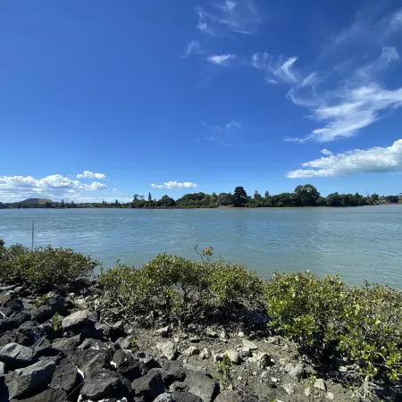 Waterfront Villa Near Ikea and Sylvia Park Отели рядом с достопримечательностью «Корнвол Парк»