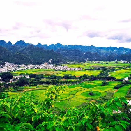 Qingfeng Banshan Homestay