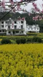 Wuyuan Jiangling Garden Hostel Hotels near Jiangling Scenic Area