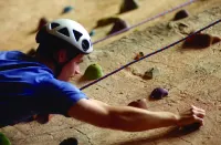 The Venetian® Resort Las Vegas Hotels in Las Vegas