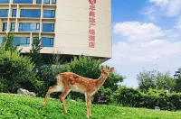 Ramada Plaza by Wyndham Taian - Gym