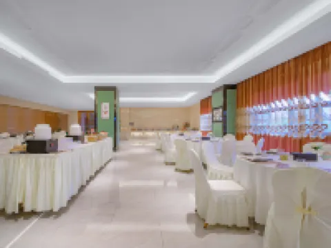 ウィーン インターナショナルホテル(寧明花山) 寧明のホテル