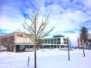巴特威廉舍赫城堡飯店