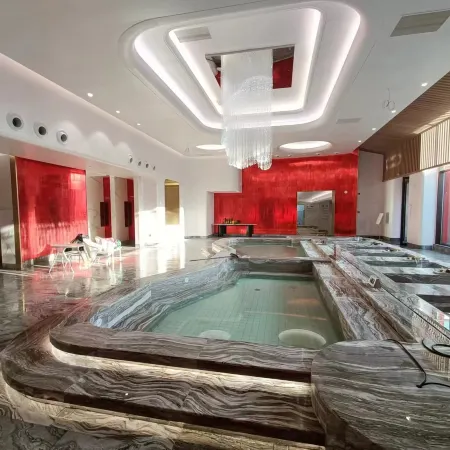 Anshan Dragon Palace Hot Spring Hotel