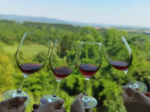 Yunnan Wine House Inn (Maitreya Dongfeng Yun Store)