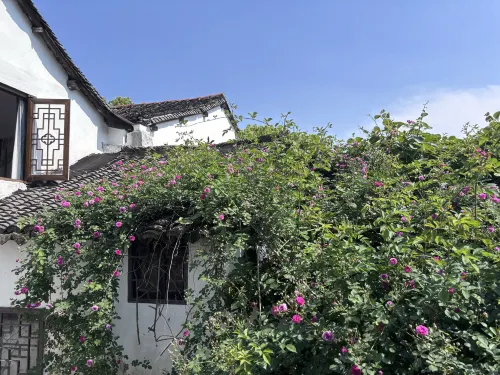 Xitang Chunye · Warm Dream Light Luxury Homestay