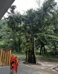Moon Bay Zuo Lin You Xi Homestay