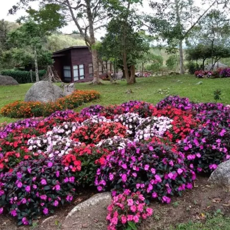 Spring Garden Kundasang