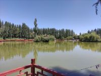 酒泉海豚湾主题酒店 - 其他