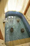 六安大別山虛谷温泉度假酒店 - 溫泉